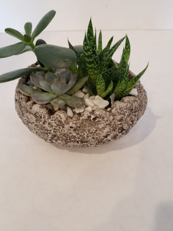 Stone Oval Succulent planter
