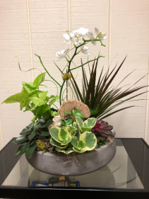 Stone Planter Mixed Plants