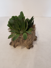 Stone Stump Succulent planter