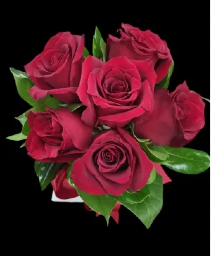 Striking Red Roses Hand Held Bouquet