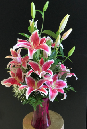 Striking Stargazer Lilies Birthday, Anniversary, Just Because