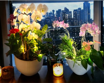 String lights add-on examples Planters in Windsor, ON | K. MICHAEL'S FLOWERS & GIFTS