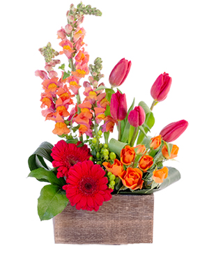 Strong & Gentle Flower Arrangement