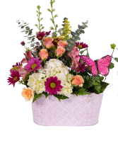 Strong & Steady Arrangement 