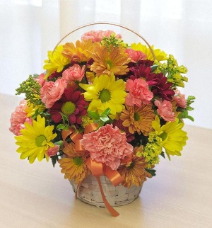 Stull's Blaze  Basket