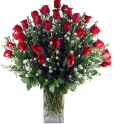 Stunning 3 Dozen Roses Red Rose Arrangement