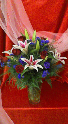 Category Image