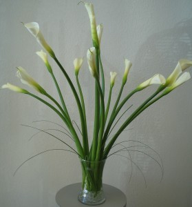 STUNNING CALLAS