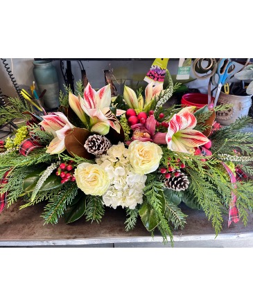 Stunning Holiday Centerpiece  Centerpiece  in Fairfield, CT | Blossoms at Dailey's Flower Shop