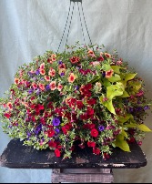 Stunning Outdoor Hanging Basket 