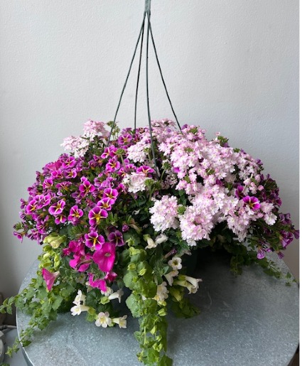 Stunning Outdoor Hanging Basket 