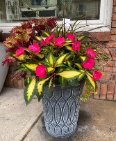 Stunning Shade Tolerant Patio Planter 