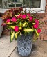 Stunning Shade Tolerant Patio Planter 