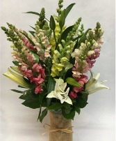 Stunning Snapdragons 