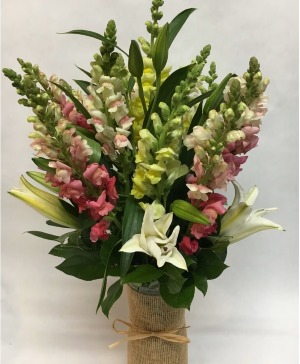 Stunning Snapdragons 