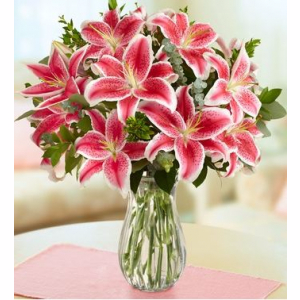Stunning Stargazers Arrangement in Winston Salem, NC | RAE'S NORTH POINT FLORIST INC. Stunning Stargazers Arrangement in Winston Salem, NC | RAE'S NORTH POINT FLORIST INC.