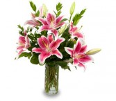 STUNNING STARGAZERS Vase of Lilies