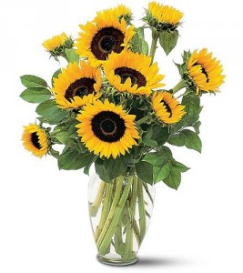 Stunning Sunflowers Vase