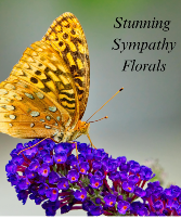 Stunning Sympathy Florals Designer's Choice