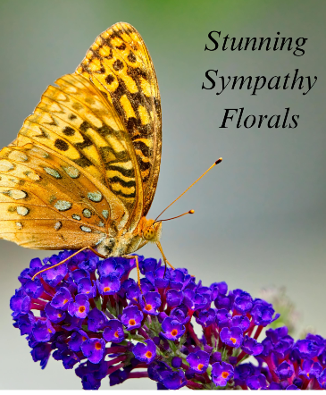 Stunning Sympathy Florals Designer's Choice in Amherst, MA | Floral Affairs Of Amherst