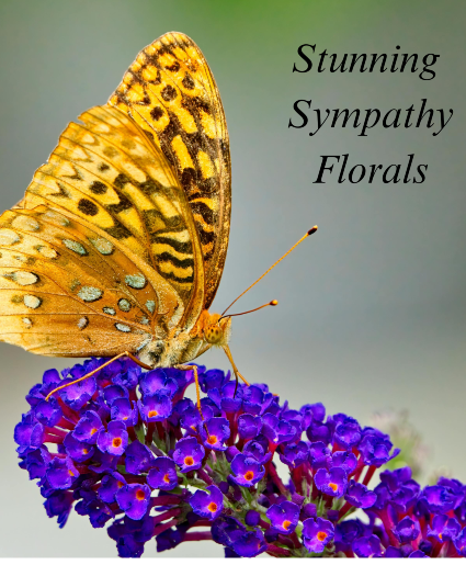 Stunning Sympathy Florals Designer's Choice