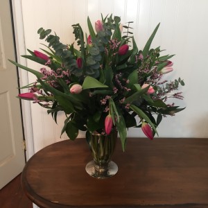 Stunning tulips