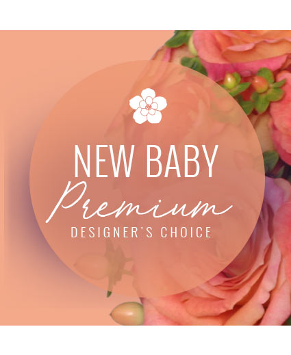 Stylish New Baby Premium Designer's Choice