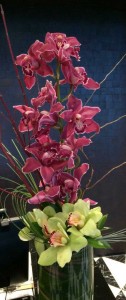 Stylish Orchids in Las Vegas Cymbidium Orchids 