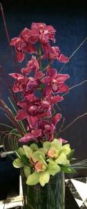Stylish Orchids in Las Vegas Cymbidium Orchids  in Las Vegas, NV | AN OCTOPUS'S GARDEN