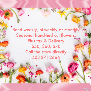 Subscription cut flowers no vase Subscription weekly, biweekly, monthly 