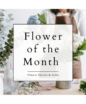 Subscriptions Classic Florist Club