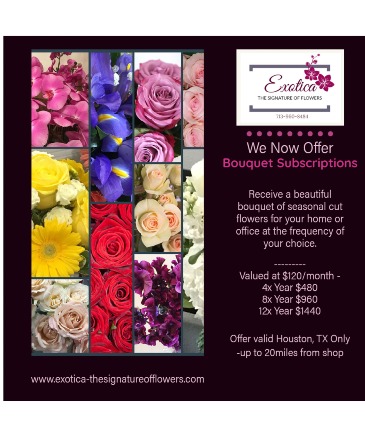 Subscriptions Mixed Seasonal Arrangements in Houston, TX | EXOTICA THE SIGNATURE OF FLOWERS