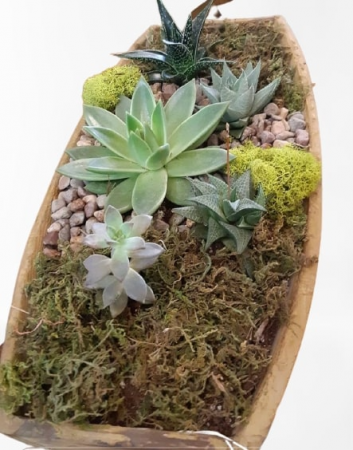 Succulent Boat  in Cambridge, ON | KELLY GREENS FLOWERS & GIFT SHOP