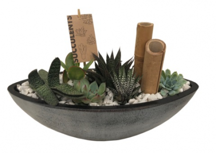 Succulent Boat Planter