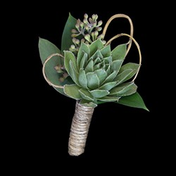 Succulent Boutonniere in Allen, TX | Lovejoy Flower and Gift Shop Succulent Boutonniere in Allen, TX | Lovejoy Flower and Gift Shop