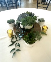 Succulent Centerpiece Wedding Centerpeice