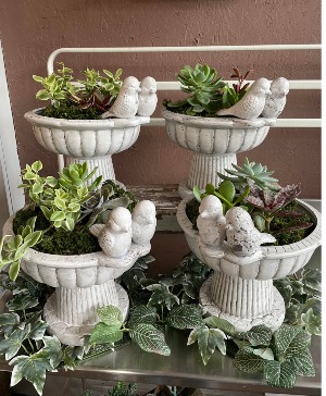 Succulent Ceramic Birdbath Home