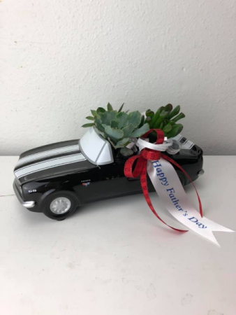 Succulent Classic Car Plant Garden