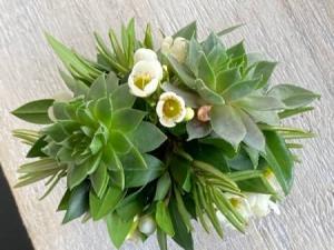 Succulent  Corsage
