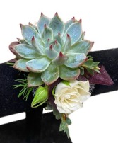 Succulent Cuff Corsage 