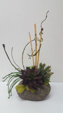 Succulent Design On a Rock Commercial and Residencial 