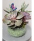 Succulent Dish Garden Succulent Plants