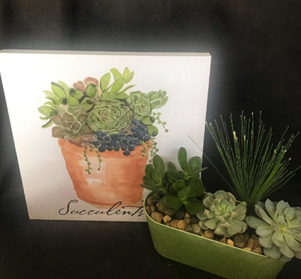 Succulent Display Living planter