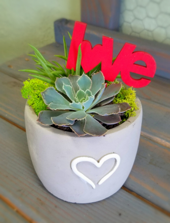 Succulent Double Love Valentine's Day