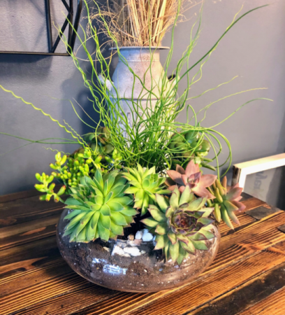 Succulent Oasis Custom Plant Design