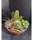 Purchase this funeral home arrangement