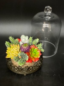 Succulent Garden Cloche Silk/Custom