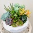 Purchase this funeral home arrangement