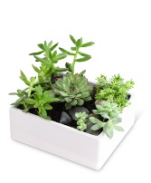 Succulent Garden Flower Arrangement