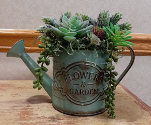 Succulent Garden in Distressed Watering Can 